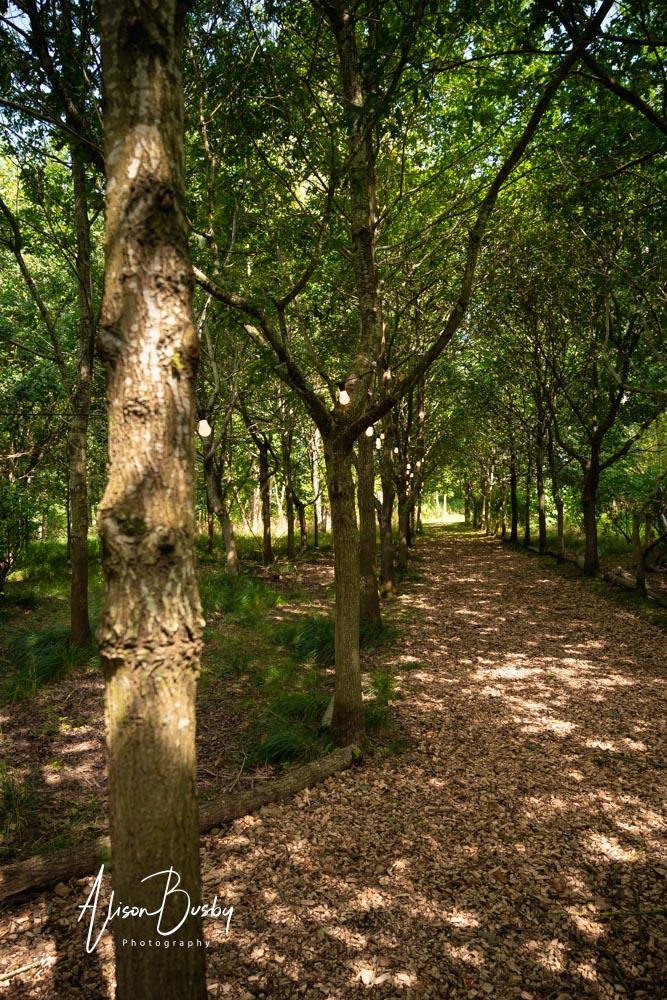 Views around site by Endeavour Woodland Weddings photographer