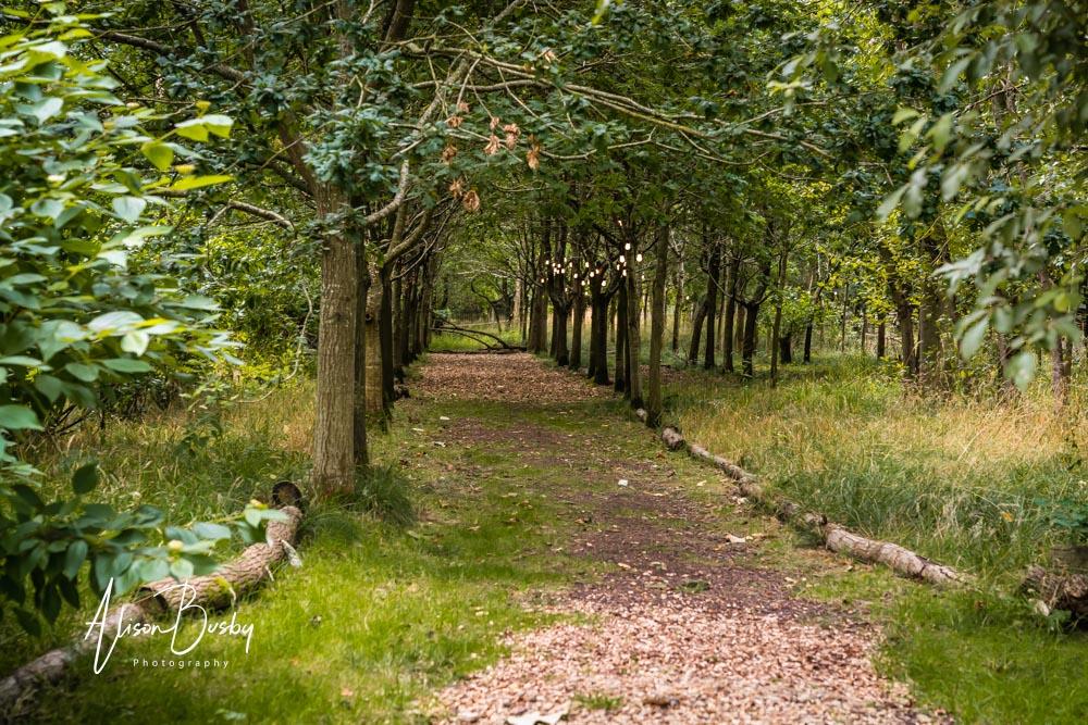 Views around site by Endeavour Woodland Weddings photographer