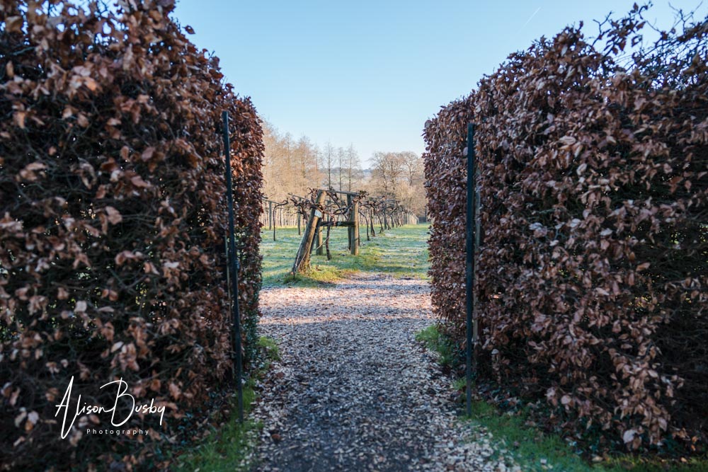 Old Luxters Barn in Oxfordshire. Wedding photos