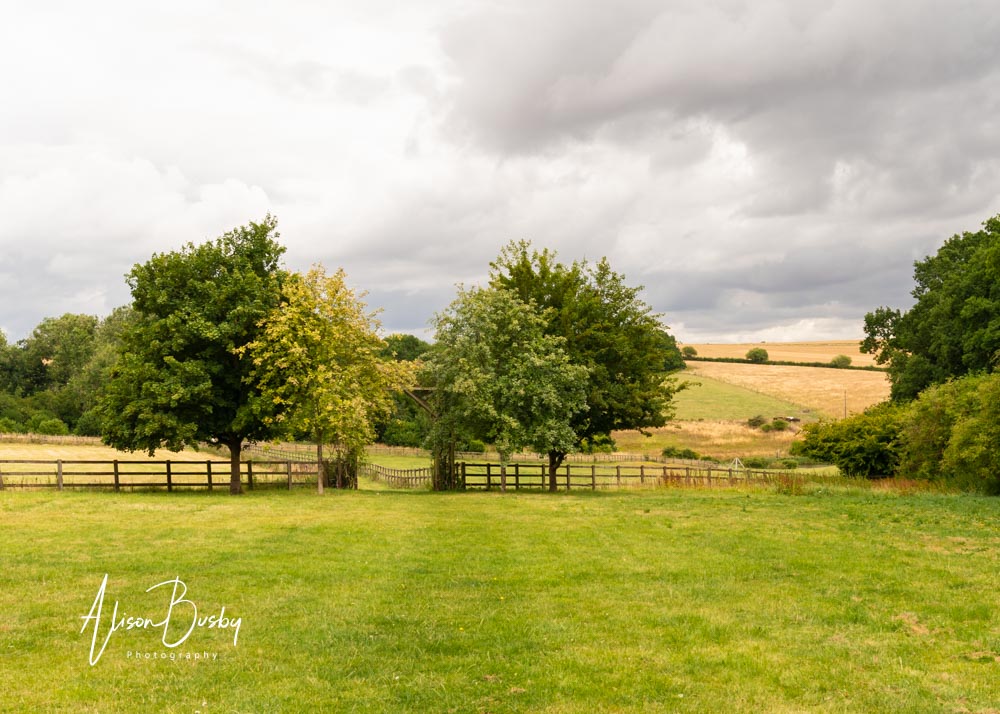 Sheepdrove Organic Farm. Pathway to lake and boathouse.