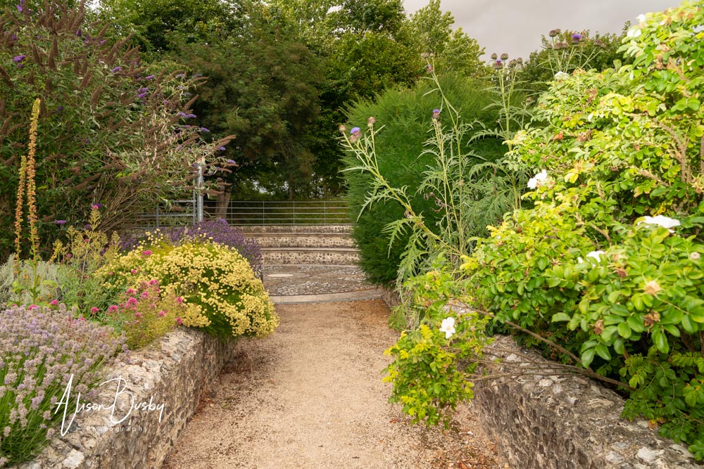 Sheepdrove Organic Farm. Physic garden