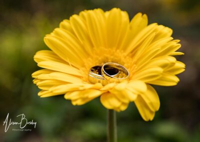 Cosener's House wedding photographer. Wedding rings on yellow sunflower