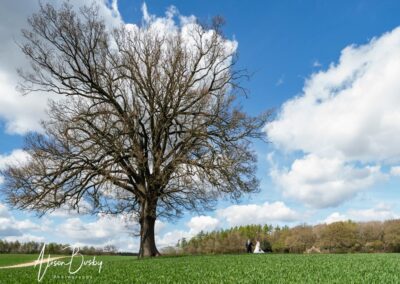 Small wedding in Buckinghamshire. Bride and groom with oak tree in Seer Green.