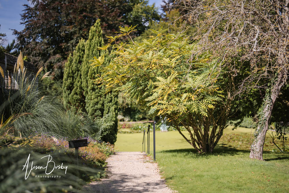 View to 15th Century pond at View of lodge in Japanese Tea Garden Fugetsu at Le Manoir aux quat saisons.