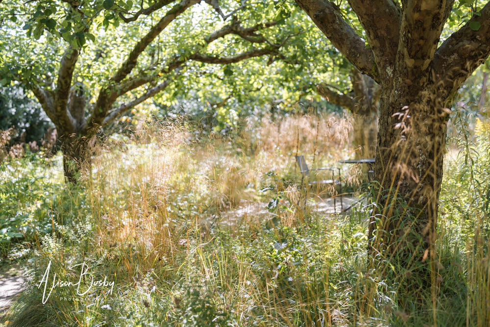 Wildflower garden at Le Manoir aux quat saisons.