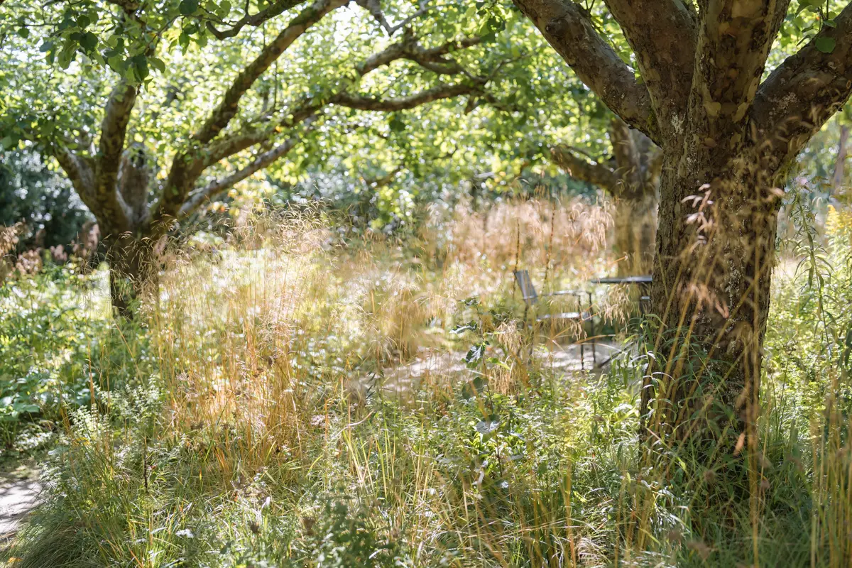 The wildflower garden at Le Manoir aux Quat'Saisons.