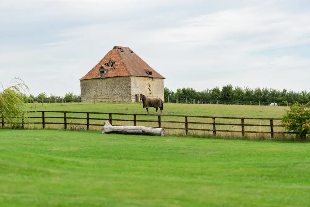 Notley Tythe Barn Wedding Photography. Horse in front of the dovecot.
