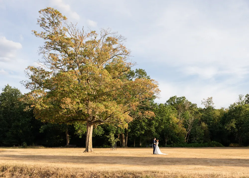Bride and groom under huge tree at sunset on common in Gerrards Cross. Bull Hotel Wedding Photographer.